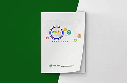 大悟县画册设计：以场景为媒，打造城市体验的全新入口